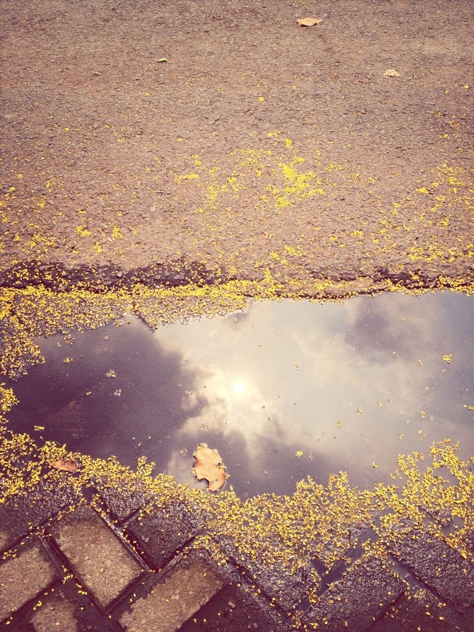 water, reflection, puddle, wet, high angle view, nature, rain, tranquility, lake, outdoors, stone - object, standing water, beauty in nature, day, no people, sky, weather, season, scenics, pond