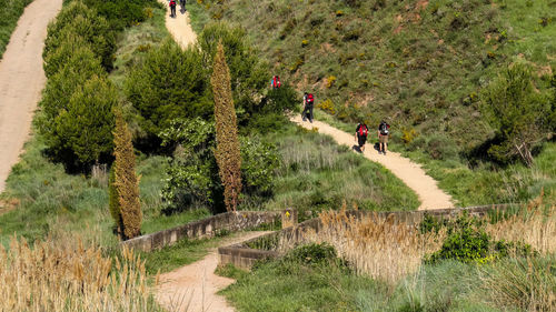 High angle view of hikers walking on footpath