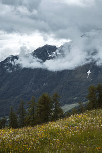 Scenic view of landscape against sky