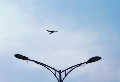 Low angle view of silhouette bird flying against sky