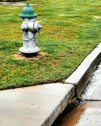 High angle view of formal garden