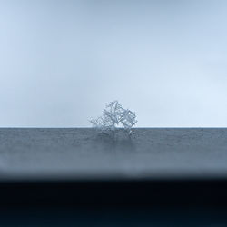 Close-up of frozen water against sky