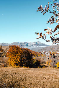 Vertical picture of an autumn landscape in durmitor national park, montenegro.  perfect  wallpaper