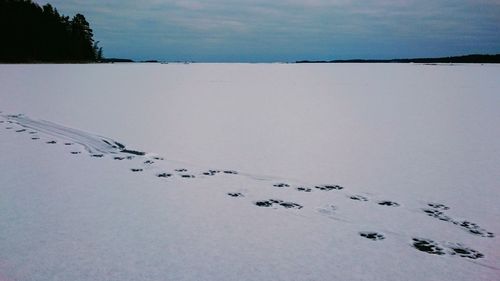 Flock of birds on snowy landscape against sky