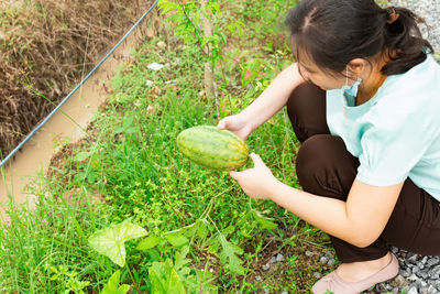 A young woman checks whether the watermelons are ready to be harvested. which she only planted 