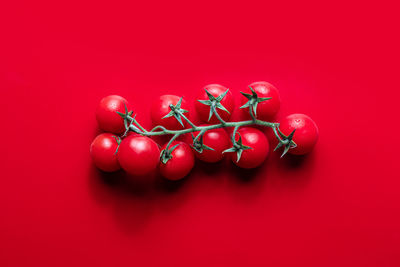 High angle view of cherries on red table