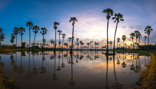 Beautiful sunset reflection of silhouettes palm tree , landscape thailand