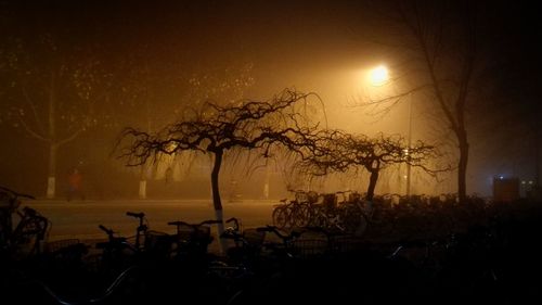 Silhouette trees on beach against sky at night