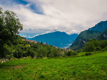 Scenic view of forest and mountains against sky