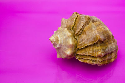 High angle view of bread on table against pink background