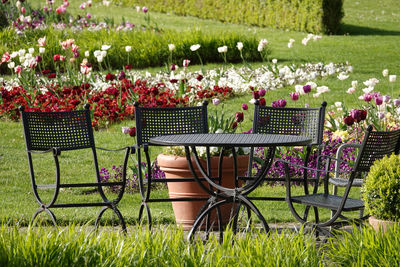 Potted plants in garden at park