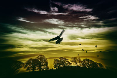 Low angle view of silhouette bird flying against sky