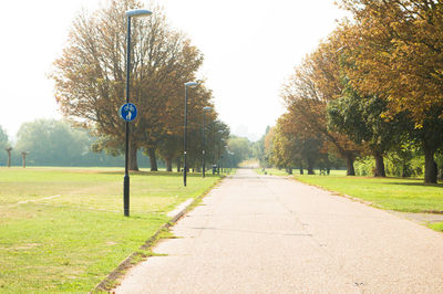 Narrow pathway along trees in park