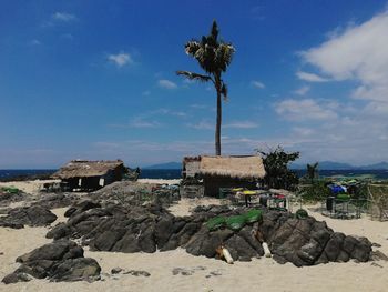 Palm trees on rock against sky