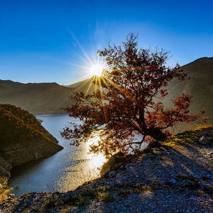 Scenic view of lake against sun and blue sky