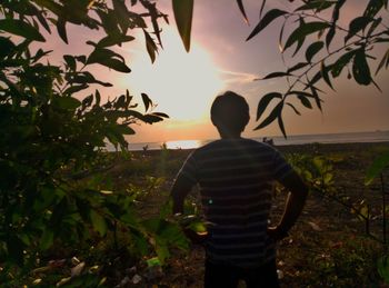 Rear view of man looking at sunset