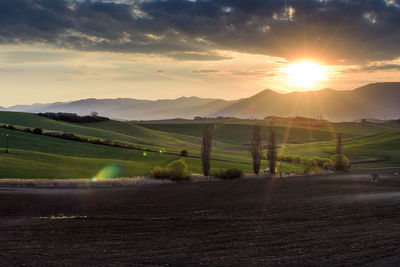 Scenic view of field against sky during sunset