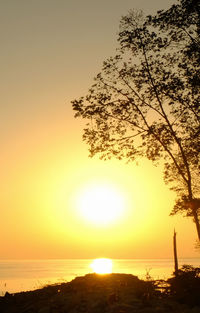 Silhouette trees against sky during sunset