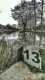 Bare trees by calm lake