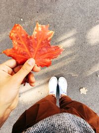 Low section of person standing on maple leaf