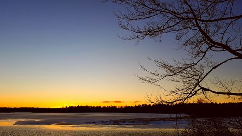 Scenic view of silhouette trees against sky at sunset