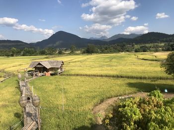 Scenic view of field against sky