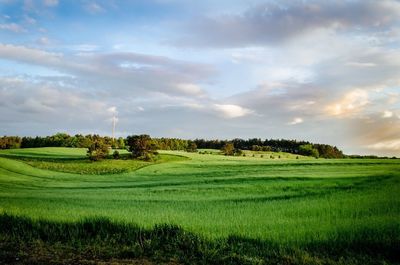 Scenic view of grassy field against cloudy sky