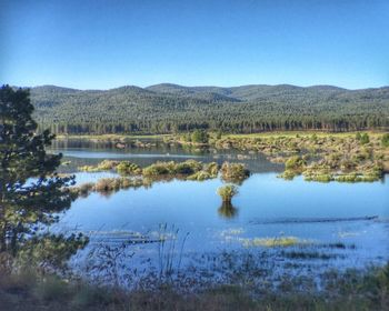 Scenic view of lake against clear blue sky