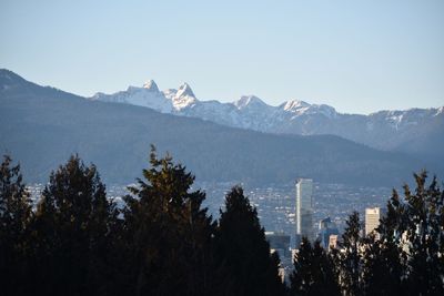 Panoramic view of trees and mountains against clear sky