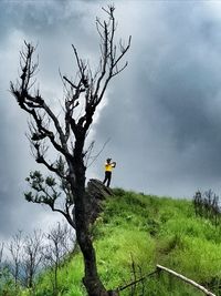 Low angle view of bare tree on field against sky