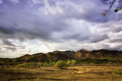 Scenic view of field and mountains against sky