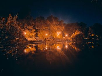 Illuminated trees by lake against sky at night