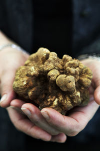 Truffle on hand