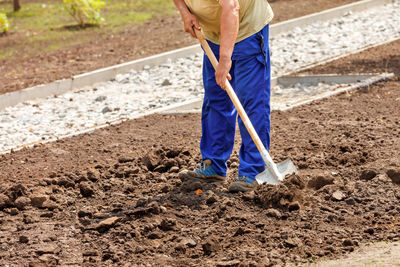 Senior elderly male gardener loosens the soil with a shovel in a vegetable garden on a garden plot.