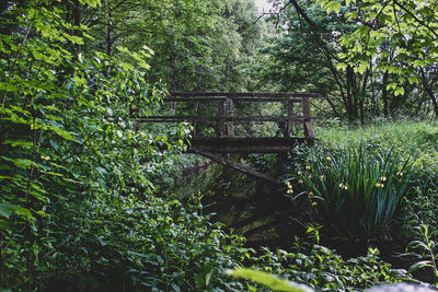 Empty bench in forest