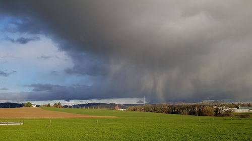 Scenic view of field against sky