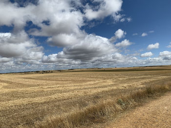 Scenic view of field against sky