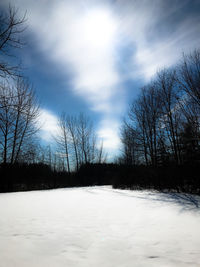 Bare trees on snow covered field against sky