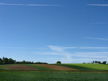 Scenic view of agricultural field against blue sky