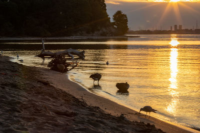 Scenic view of lake at sunset