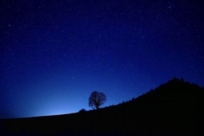 Low angle view of silhouette trees against sky at night