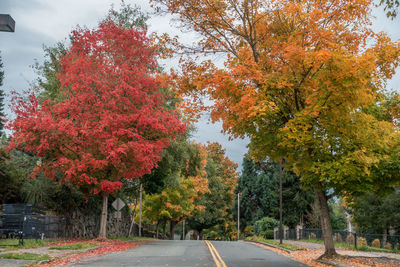 Road amidst trees against sky during autumn