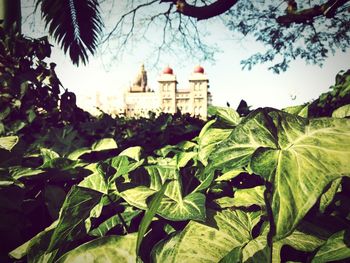 Panoramic view of trees and temple against sky