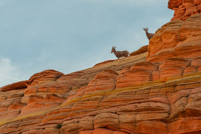 Low angle view of rock formation