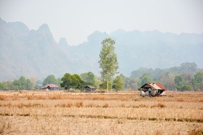 Rural laos.  scenic view on fiellds and mountains against clear sky. 