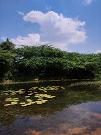 Scenic view of lake against sky