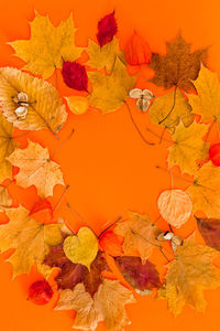 Close-up of dry maple leaves during autumn