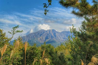 Scenic view of tree mountains against sky