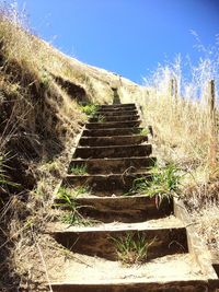 Staircase amidst plants against clear sky