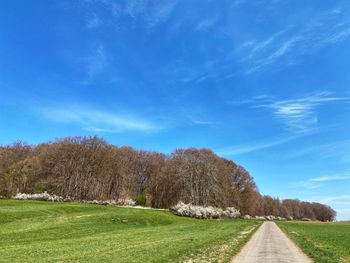 Empty road amidst field against sky